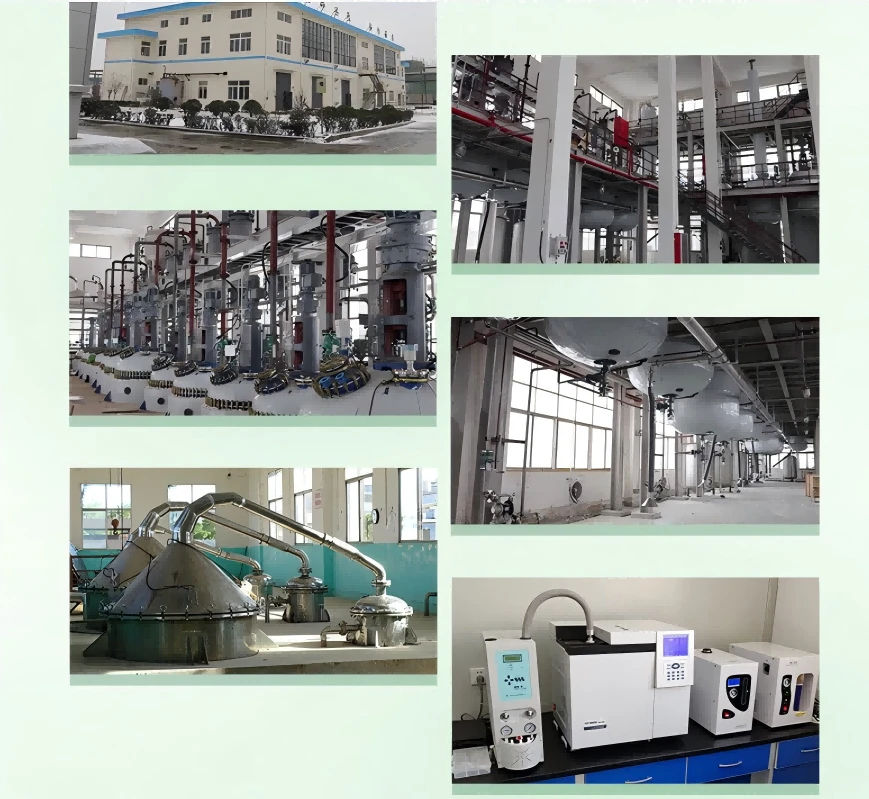 OEM & Custom Service OEM & Custom Service